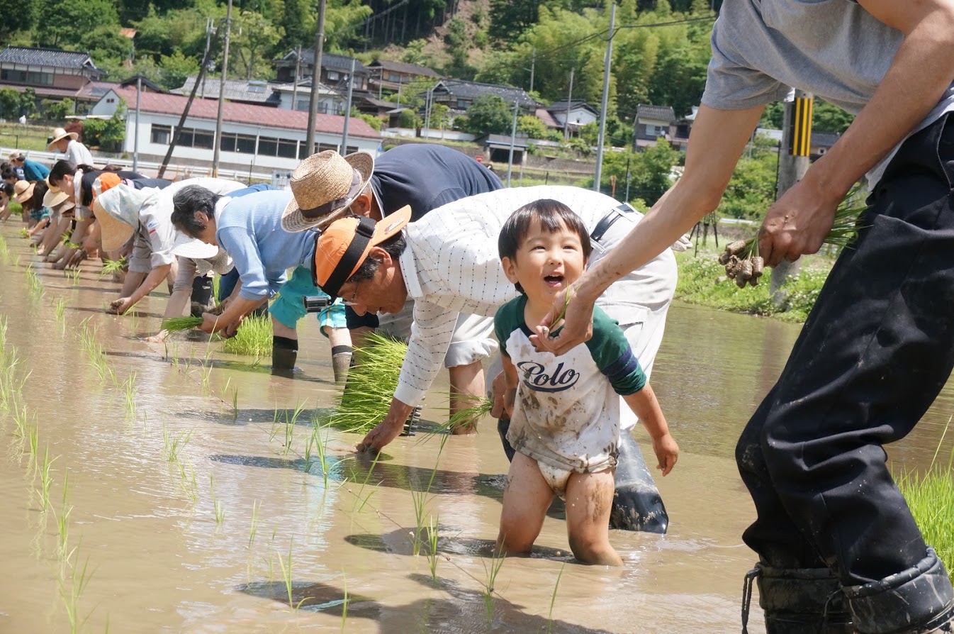 子供と一緒に本格的な米作り 田植え体験したいなら 兵庫県の繁盛地区がおススメ 繁盛里山マイスター